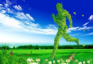 304永利集团产品名称九